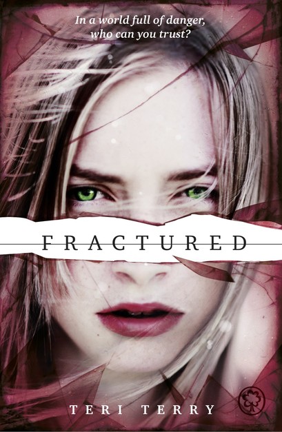 fractured_terry